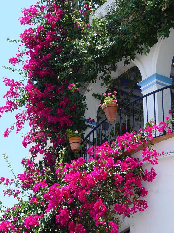 Pierre&Vacances Mojácar Playa Exterior foto